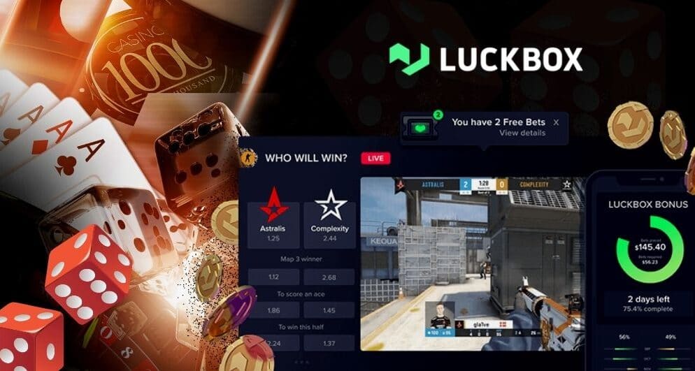 Le lancement du Casino propriétaire par Luckbox S'est avéré coûteux